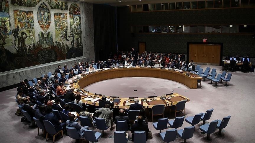 إفريقيا تستحق مقعدا دائما في مجلس الأمن الدولي